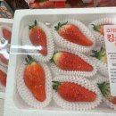 GS25강릉금학점 | [강원도/강릉] 1박 2일 애견동반 여행 (세인트존스/금학칼국수/영덕대게 1호점) + 안목해변 차박
