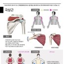 이도한의원 이미지