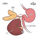 가정1-02-050 이미지