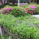 주식회사바오밥