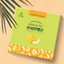 햇살디자인 이미지