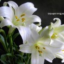 서울대학교미술관 이미지