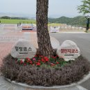 떼제베운영서울 네이버블로그