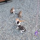 복주경매장 이미지