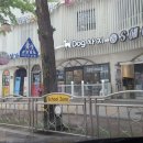Dog차지 이미지