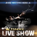 k타이거즈 이미지