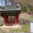 유희원 효자문 Daum카페