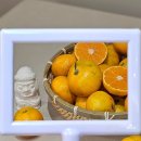 세계농장 | 제주 감귤 5kg 산지본향 농장직송 택배 후기