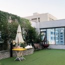 아따멍멍 이미지