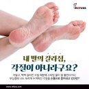 레푸스 화서역점 네이버블로그