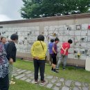 양평공설공원묘지 이미지