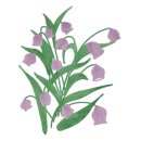 포레 1773 이미지