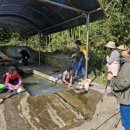 황우농장 이미지