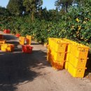 이연숙농장 이미지