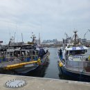 제일프라자 | 군산 쭈꾸미낚시후기(군산낚시프라자)초보가능!!