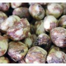 늘밤농원 이미지