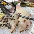 다(多)자연산 1번지 세꼬시 | [맛집기록34] 창원 마산 최애 자연산횟집 합성동 회1번지 내돈내산 재재재재재방문 VIP특선 후기