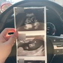 동산가스 | 임신기록(3) / ~20주 동산병원 양수검사 후기