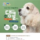 댕댕이# 이미지