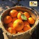 하늘농장4 이미지