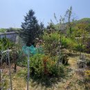 사암농장2 이미지