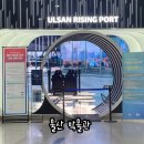 울산 아이와 가볼만한곳 체험 가득한 울산박물관 라이징포트 솔직후기