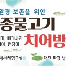 신탄진 현도교밑 이미지