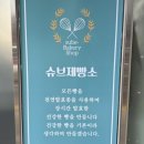 부산 괘법동 빵집 | 천연발효종으로 만든 건강한 빵 가성비 좋은 슈브제빵소 방문후기