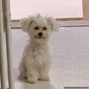 도담도담이발소 이미지