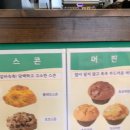 투고로스터스 이미지