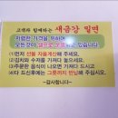 새금강밀면 이미지