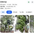 한베식당 이미지