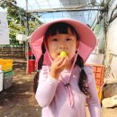 세아농장 이미지