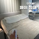 목재유통사 | 모션베드와 매트리스 고민이라면 페이침대 추천