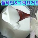 수제 그릭요거트 만들기 샐러드 다이어트 음식 그릭요거트 먹는법 이미지