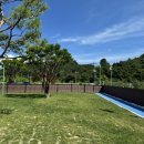 옐레드 애견유치원 & 애견호텔 진주초전점 | 💛진주 애견 유치원💛 옐레드 진주초전점