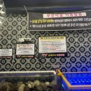미남조개바다 이미지