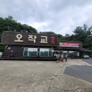 오작교장어 이미지