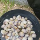 고포수변공원 이미지