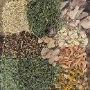 경희대한약국 | 한약은 간에 나쁘지 않을까요? (feat. 체질적차이)