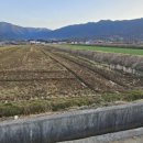 토바맑은식품 이미지