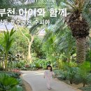 새싹유치원 | 부천 아이와 함께 상동 호수공원 수피아 식물원 나들이