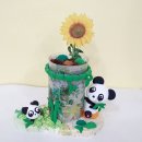 반려식물 원예아트 이미지