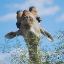 마주어린이집 이미지