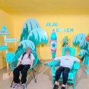 오아시스요양병원 | 제주도 비올때 가볼만한곳 비오는날 제주 서쪽 동쪽 실내 여행 추천