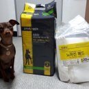 프로애견 이미지