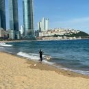 조선약품 | 웨스틴 조선 부산 (3) : 호텔 주변 산책코스 (해운대 바다 황토길, 동백섬), 오션뷰 수영장