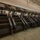 라이언짐 이미지