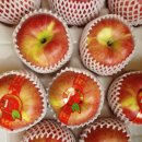 명순이네 이미지