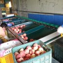 수지 농장 이미지